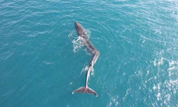 f499a2d2a81fd129d6c4d047154517b2_1678624913_9453.jpg