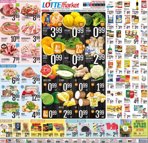 221ff442131bb7c44a9d08c1c4102800_1737128109_8804.jpeg